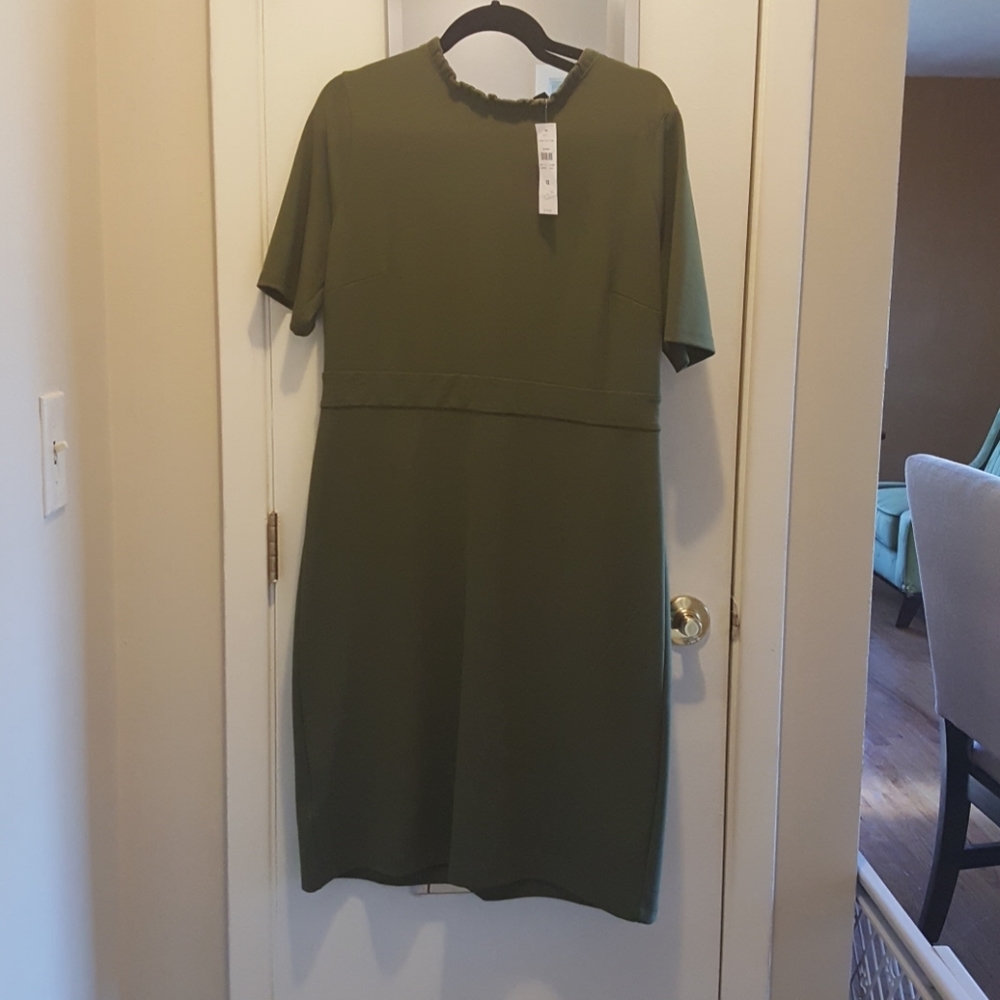Ann Taylor Dress